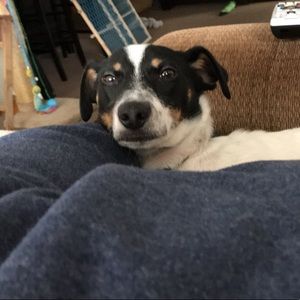 Meet your Posher, Dannielle